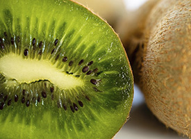soluciones visual especializacion cultivos fruta tropical