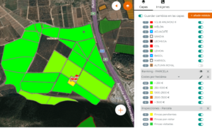 image46 (1) visual pro gestion costes informes economicos