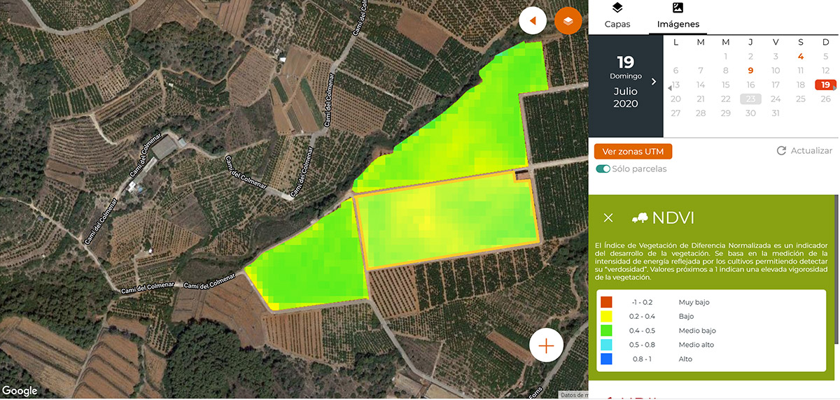 teledeteccion agricola VISUAL 2020 informacion satelite teledeteccion agricola VISUAL 2020 informacion satelite