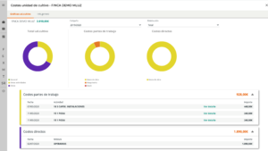 visual enterprise informes