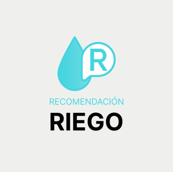 Modelos de Recomendación de Riego Visual