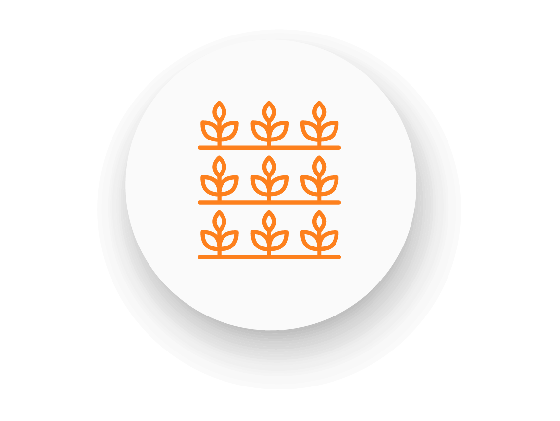 ventajas_recomendacion_riego_visual_aumneto_rentabilidad@300x