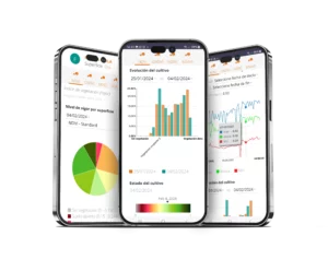 Visual_graficos_ndvi