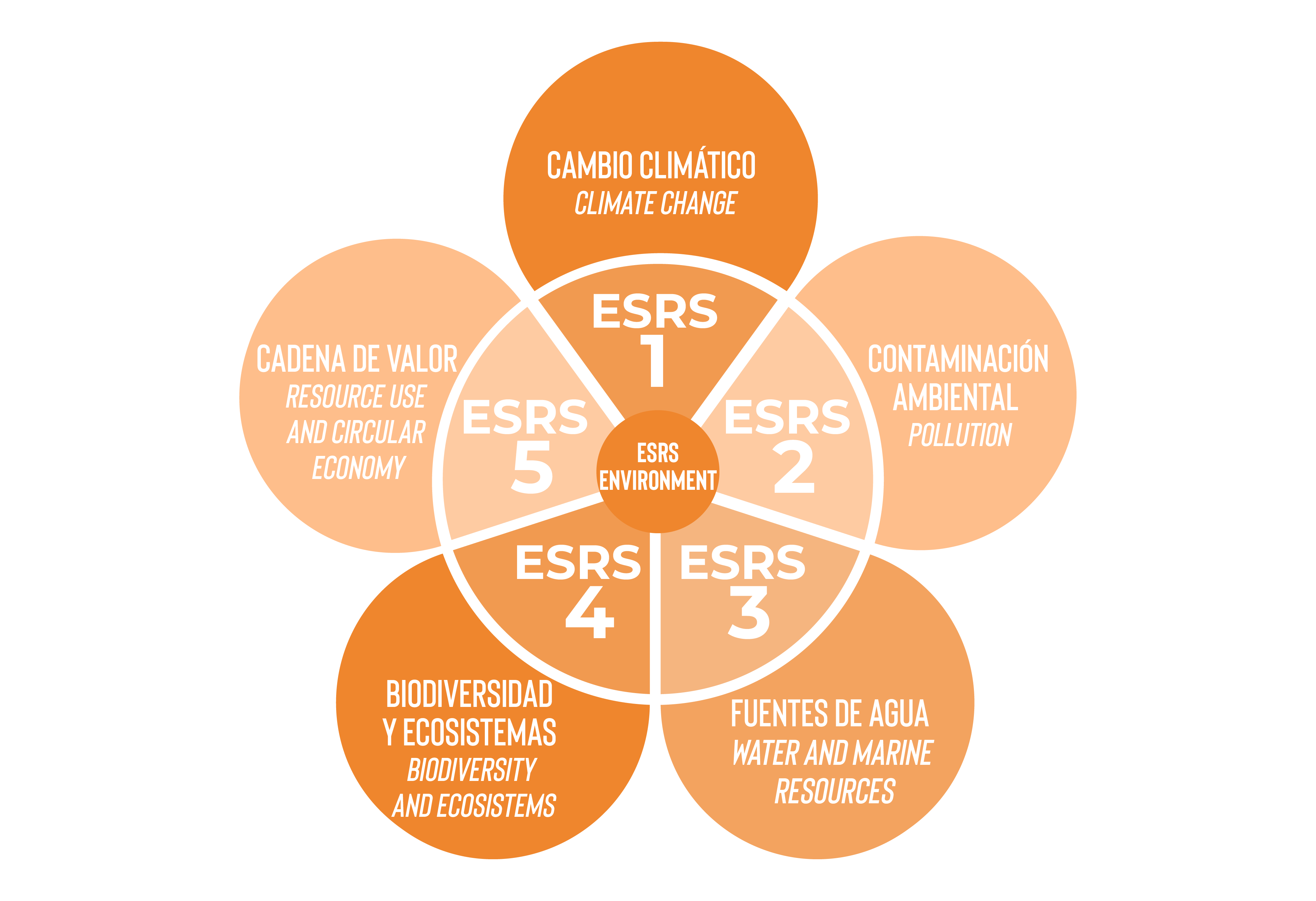 recopilacion datos ESRSCENVIROMENT