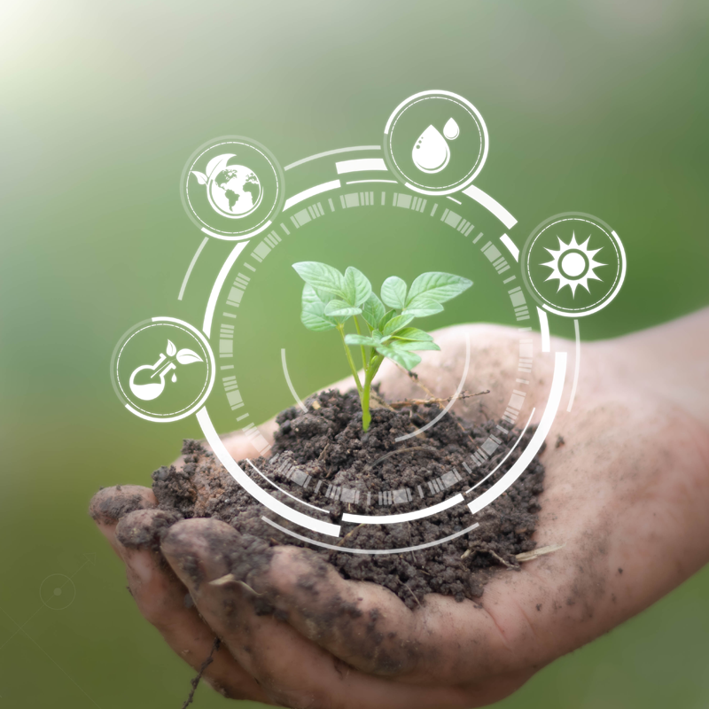 Agricultura Regenerativa
