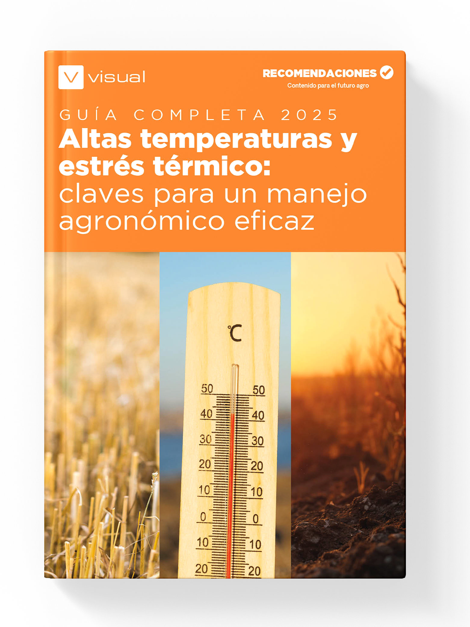 guia_altas_temperaturas_visualnacert