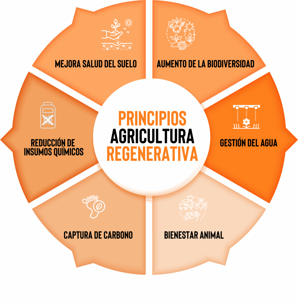 principios de la agricultura regenerativa