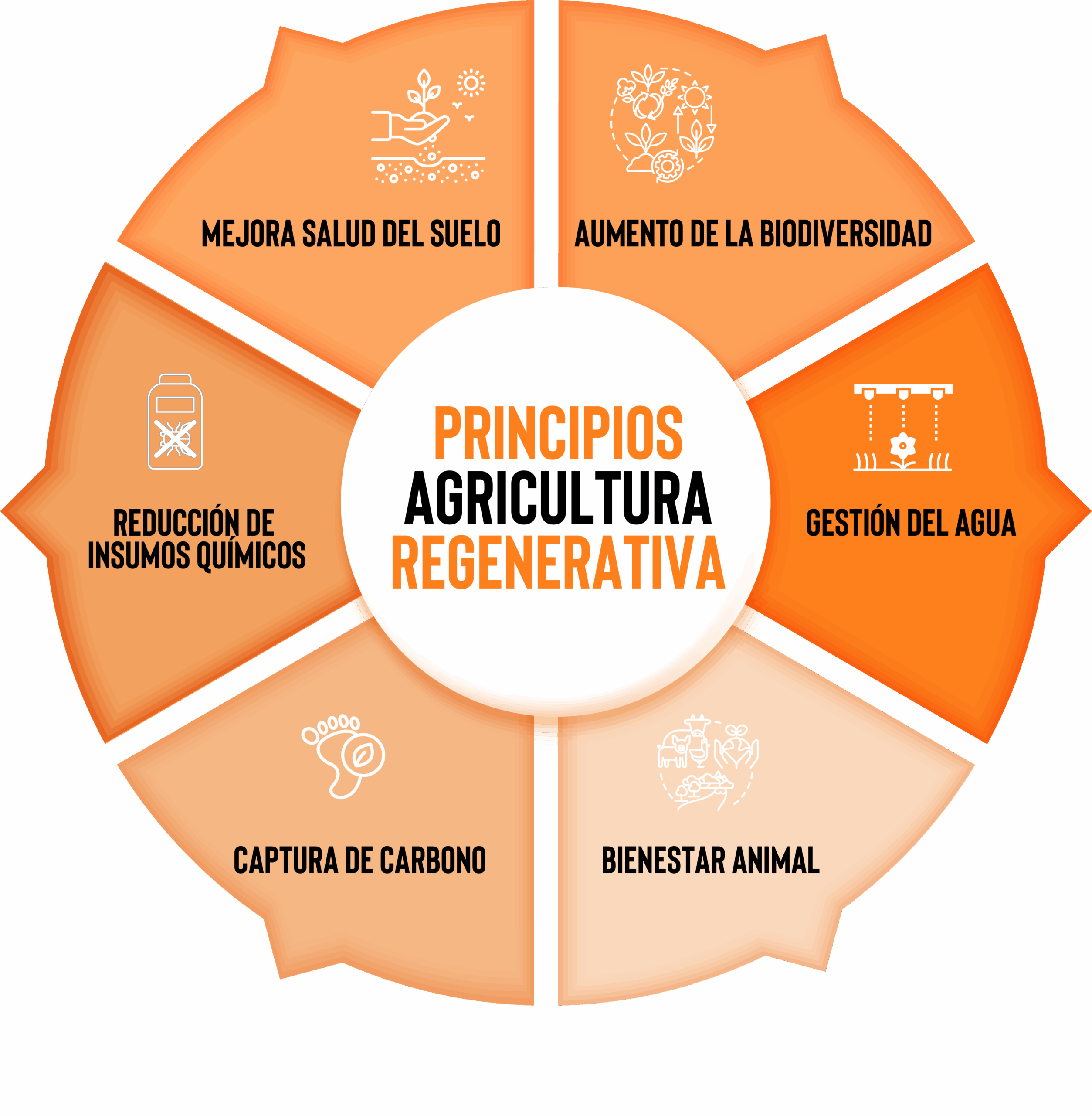 principios de la agricultura regenerativa
