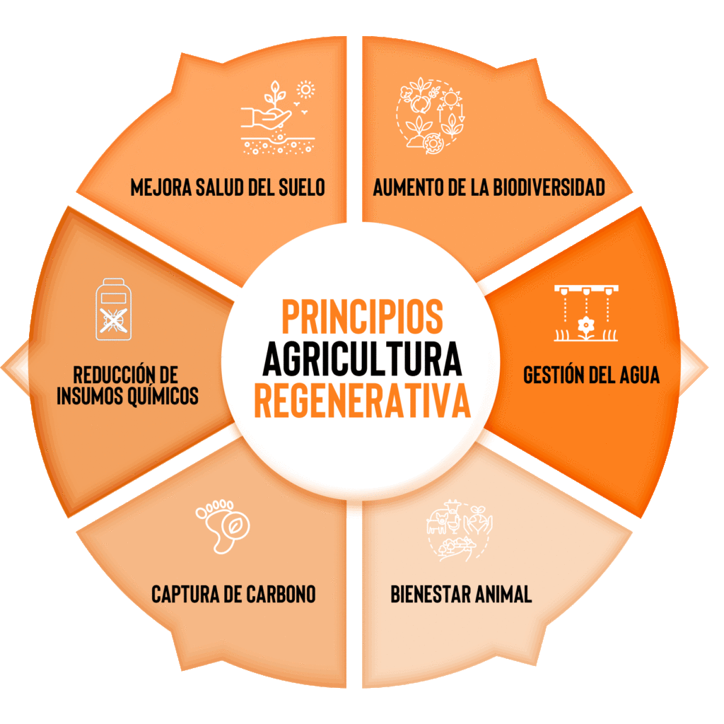 agricultura_regenerativa_visualnacert_infografias