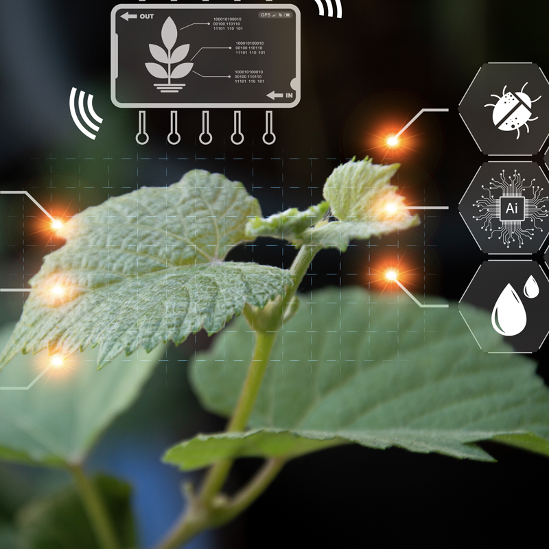 10 Claves para integrar digitalización agrícola y uso responsable de fitosanitarios