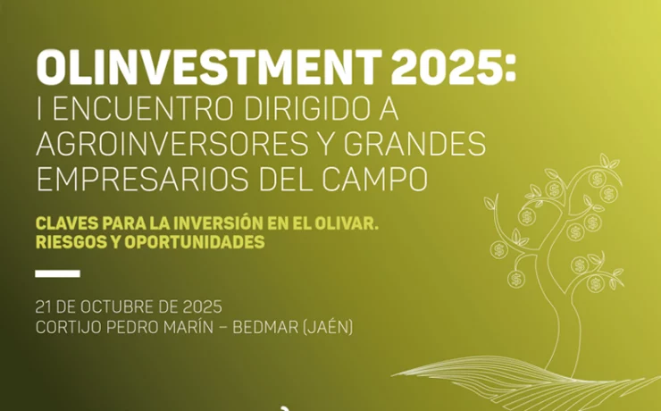 Visualnacert en Olinvestment2025
